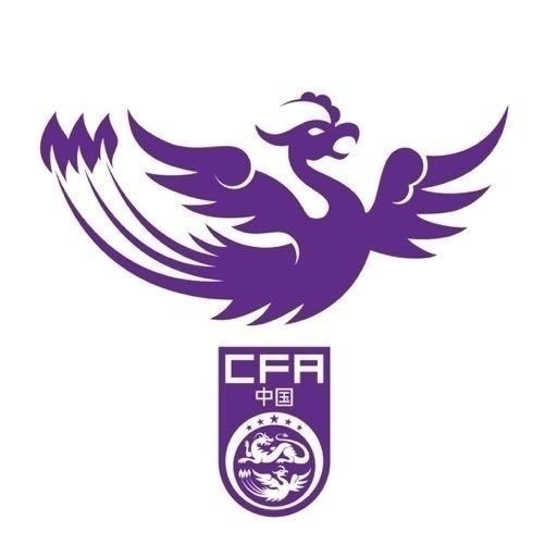 津媒：U17女足明日起兩戰(zhàn)日本定位整體實力，默契度有提升空間