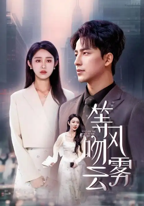 《迷雾追踪》海报
